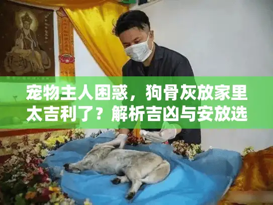 宠物主人困惑，狗骨灰放家里太吉利了？解析吉凶与安放选择
