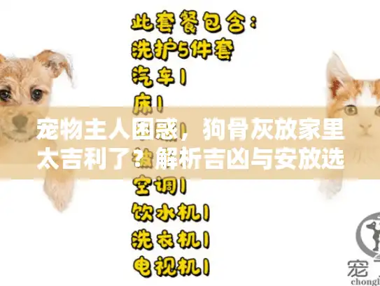 宠物主人困惑，狗骨灰放家里太吉利了？解析吉凶与安放选择