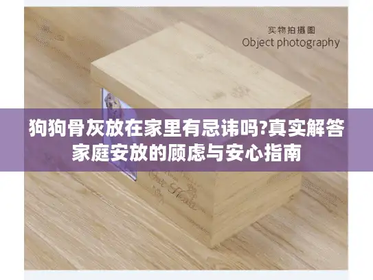 狗狗骨灰放在家里有忌讳吗?真实解答家庭安放的顾虑与安心指南