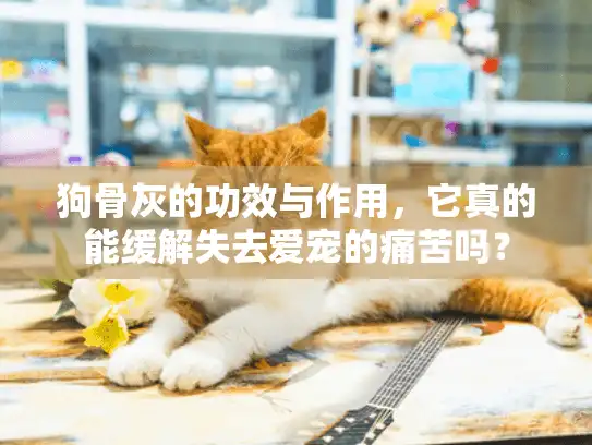 狗骨灰的功效与作用，它真的能缓解失去爱宠的痛苦吗？