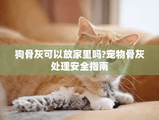 狗骨灰可以放家里吗?宠物骨灰处理安全指南