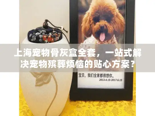 上海宠物骨灰盒全套，一站式解决宠物殡葬烦恼的贴心方案？