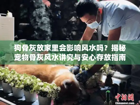 狗骨灰放家里会影响风水吗？揭秘宠物骨灰风水讲究与安心存放指南