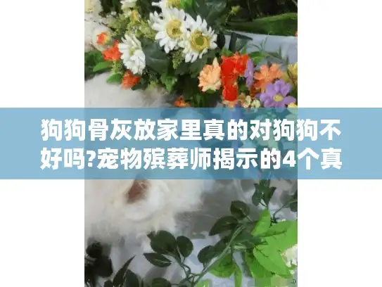 狗狗骨灰放家里真的对狗狗不好吗?宠物殡葬师揭示的4个真相
