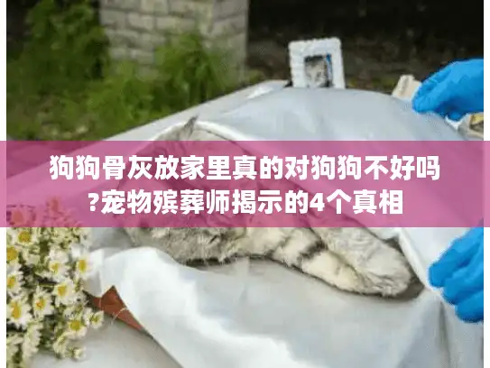 狗狗骨灰放家里真的对狗狗不好吗?宠物殡葬师揭示的4个真相