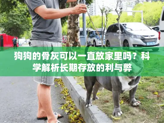 狗狗的骨灰可以一直放家里吗？科学解析长期存放的利与弊
