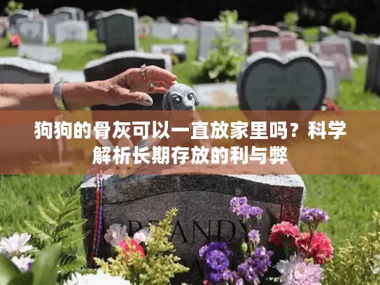 狗狗的骨灰可以一直放家里吗？科学解析长期存放的利与弊