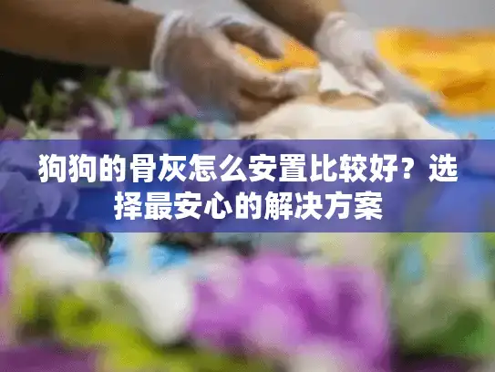 狗狗的骨灰怎么安置比较好？选择最安心的解决方案