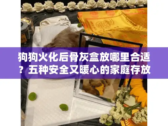 狗狗火化后骨灰盒放哪里合适？五种安全又暖心的家庭存放方案