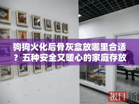 狗狗火化后骨灰盒放哪里合适？五种安全又暖心的家庭存放方案