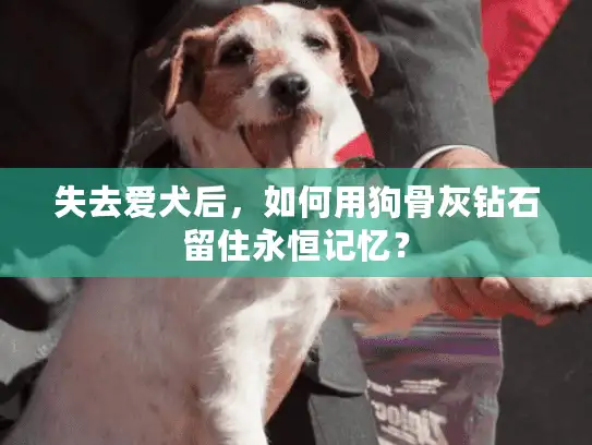 失去爱犬后，如何用狗骨灰钻石留住永恒记忆？
