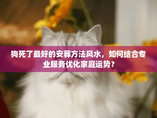 狗死了最好的安葬方法风水，如何结合专业服务优化家庭运势？