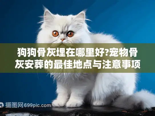 狗狗骨灰埋在哪里好?宠物骨灰安葬的最佳地点与注意事项