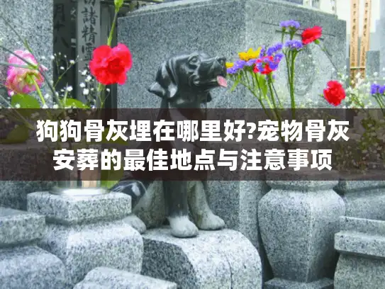 狗狗骨灰埋在哪里好?宠物骨灰安葬的最佳地点与注意事项