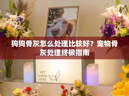 狗狗骨灰怎么处理比较好？宠物骨灰处理终极指南