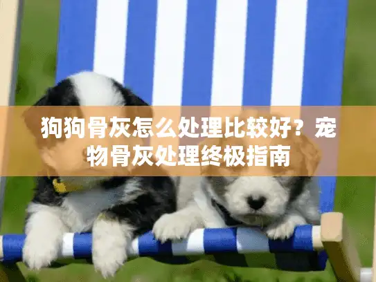 狗狗骨灰怎么处理比较好？宠物骨灰处理终极指南