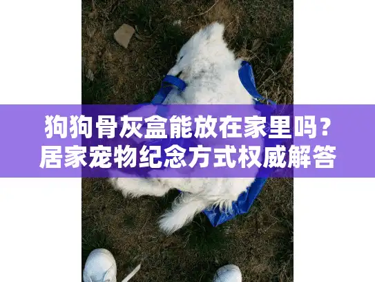 狗狗骨灰盒能放在家里吗？居家宠物纪念方式权威解答