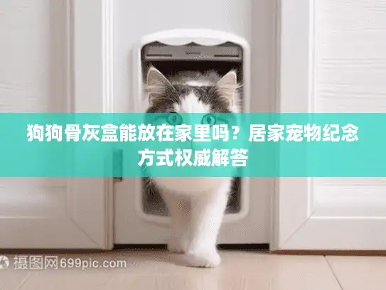 狗狗骨灰盒能放在家里吗？居家宠物纪念方式权威解答