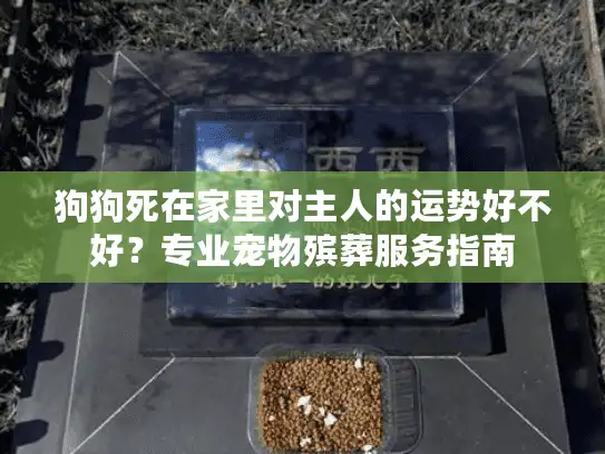 狗狗死在家里对主人的运势好不好？专业宠物殡葬服务指南