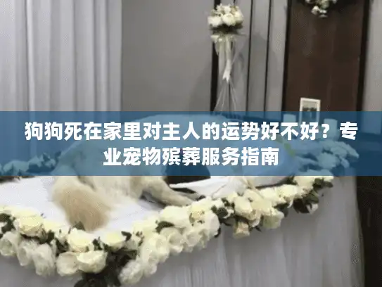 狗狗死在家里对主人的运势好不好？专业宠物殡葬服务指南