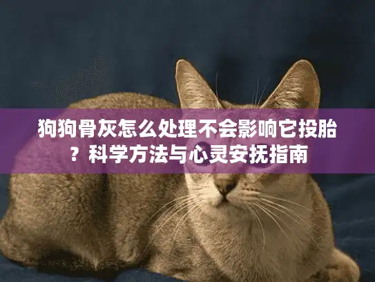 狗狗骨灰怎么处理不会影响它投胎？科学方法与心灵安抚指南