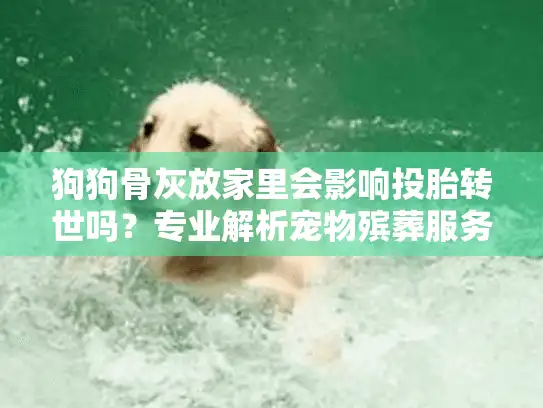 狗狗骨灰放家里会影响投胎转世吗？专业解析宠物殡葬服务指南
