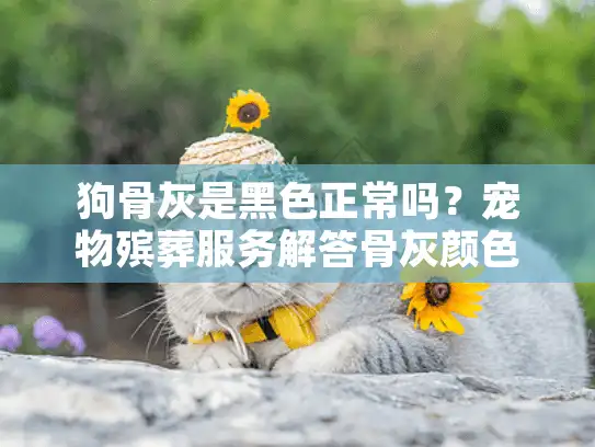 狗骨灰是黑色正常吗？宠物殡葬服务解答骨灰颜色异常原因