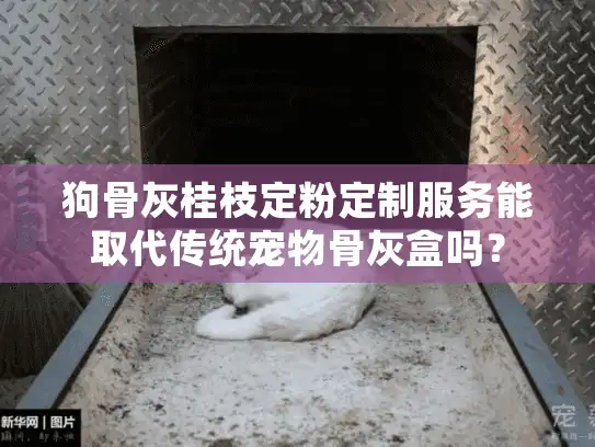 狗骨灰桂枝定粉定制服务能取代传统宠物骨灰盒吗？