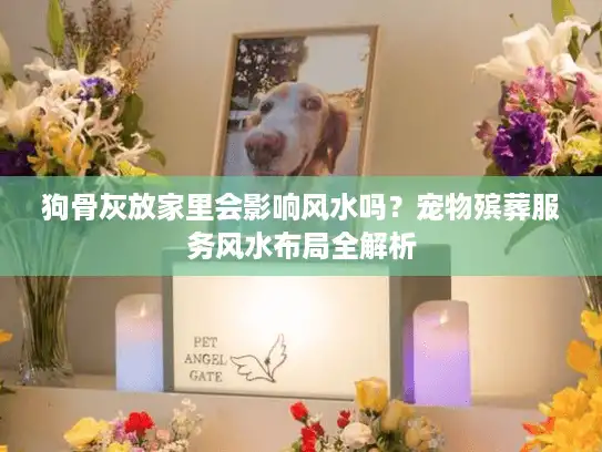 狗骨灰放家里会影响风水吗？宠物殡葬服务风水布局全解析