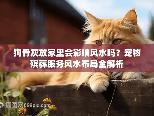 狗骨灰放家里会影响风水吗？宠物殡葬服务风水布局全解析