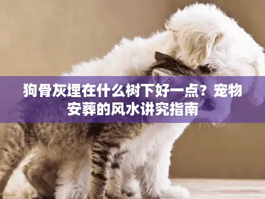 狗骨灰埋在什么树下好一点？宠物安葬的风水讲究指南