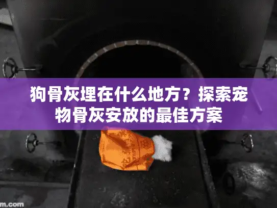 狗骨灰埋在什么地方？探索宠物骨灰安放的最佳方案