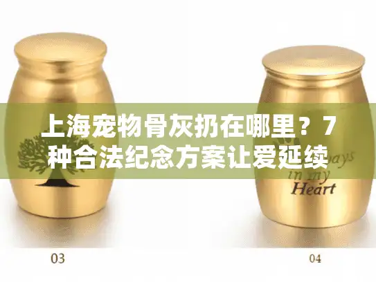 上海宠物骨灰扔在哪里？7种合法纪念方案让爱延续