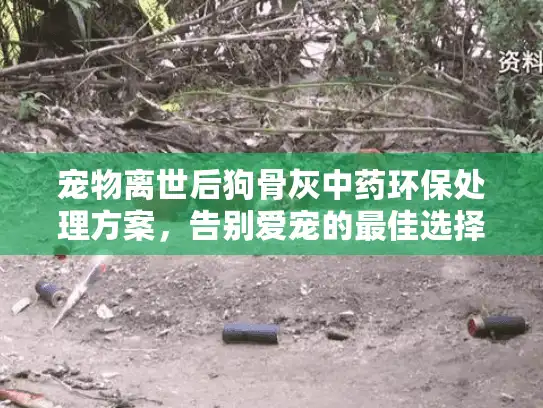 宠物离世后狗骨灰中药环保处理方案，告别爱宠的最佳选择？