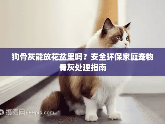 狗骨灰能放花盆里吗？安全环保家庭宠物骨灰处理指南