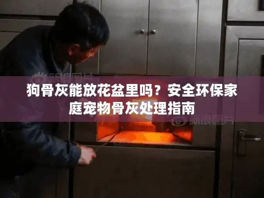 狗骨灰能放花盆里吗？安全环保家庭宠物骨灰处理指南