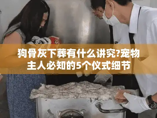 狗骨灰下葬有什么讲究?宠物主人必知的5个仪式细节