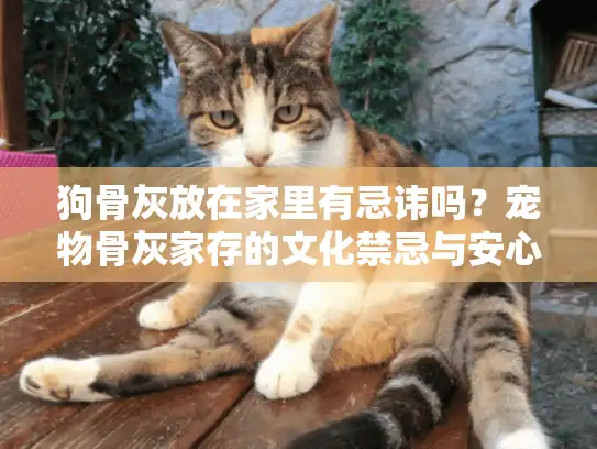 狗骨灰放在家里有忌讳吗？宠物骨灰家存的文化禁忌与安心指南
