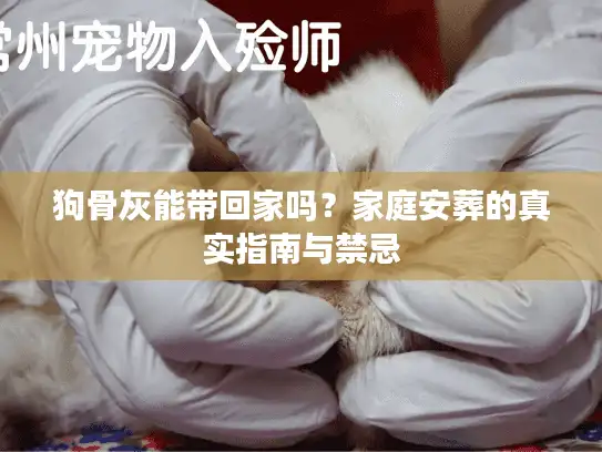 狗骨灰能带回家吗？家庭安葬的真实指南与禁忌