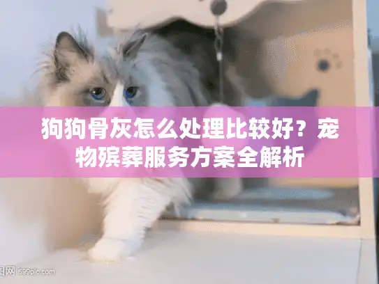 狗狗骨灰怎么处理比较好？宠物殡葬服务方案全解析