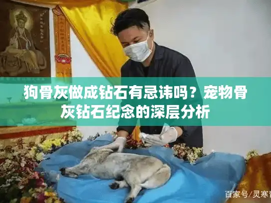 狗骨灰做成钻石有忌讳吗？宠物骨灰钻石纪念的深层分析