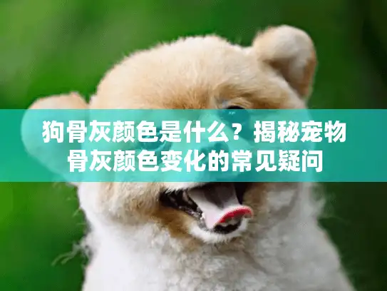 狗骨灰颜色是什么？揭秘宠物骨灰颜色变化的常见疑问