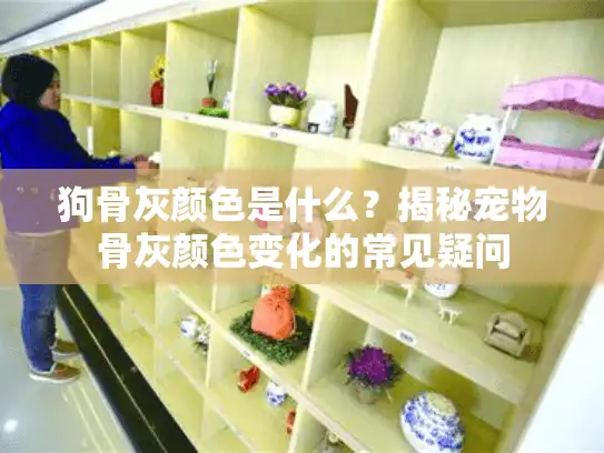 狗骨灰颜色是什么？揭秘宠物骨灰颜色变化的常见疑问