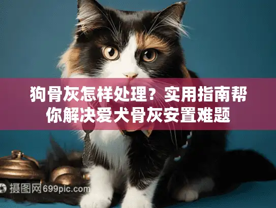 狗骨灰怎样处理？实用指南帮你解决爱犬骨灰安置难题