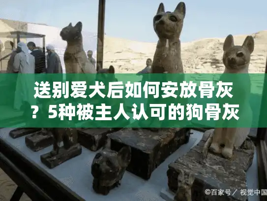 送别爱犬后如何安放骨灰？5种被主人认可的狗骨灰处理方式