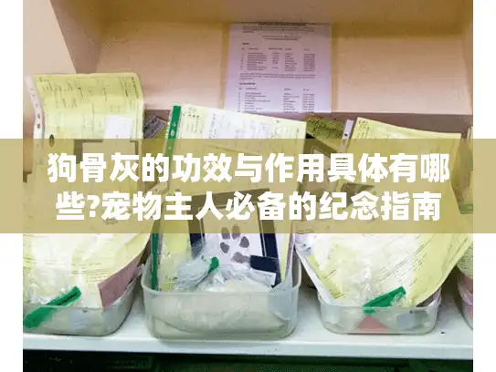 狗骨灰的功效与作用具体有哪些?宠物主人必备的纪念指南