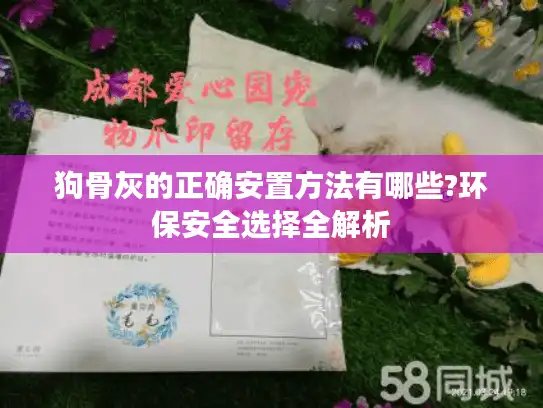 狗骨灰的正确安置方法有哪些?环保安全选择全解析