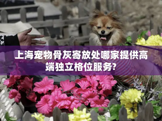 上海宠物骨灰寄放处哪家提供高端独立格位服务?