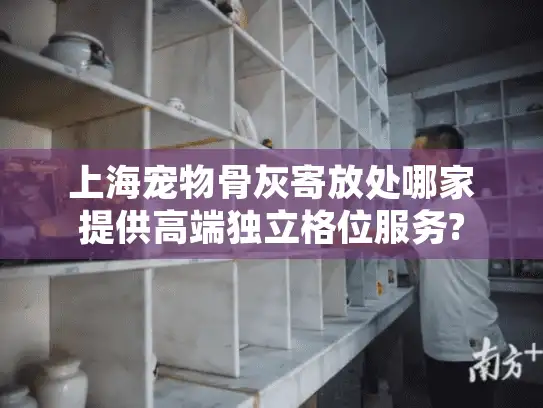 上海宠物骨灰寄放处哪家提供高端独立格位服务?