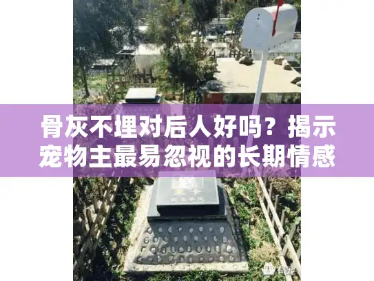 骨灰不埋对后人好吗？揭示宠物主最易忽视的长期情感影响